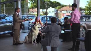 Zuto Tv Advert - How Lisa Became Warrior Queen Of Chingford Motors