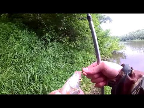 ловля карася на дону в воронеже видео ловля карася на дону в воронеже видео