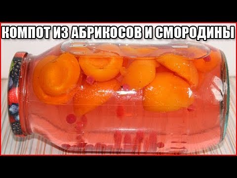 КОМПОТ ИЗ АБРИКОСОВ И СМОРОДИНЫ НА ЗИМУ КОМПОТ ИЗ АБРИКОСОВ И СМОРОДИНЫ НА ЗИМУ