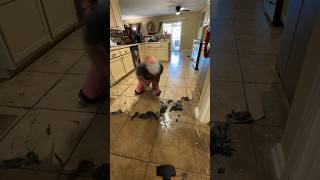 Removing Floor Finishes That Were Supposed To Leave A Shine But Made It Look Terrible Instead