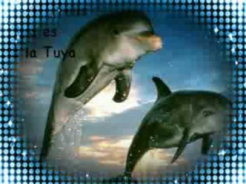 LYRIC FUGA VERTE SONREIR lyric fuga verte sonreir: