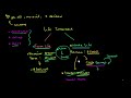 Term and Whole Life