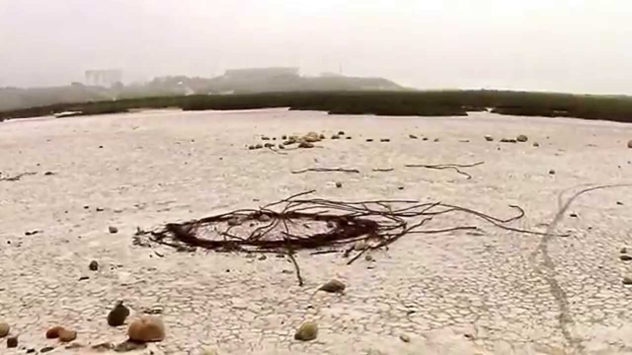 BORDERS: A PROJECTION POEM BY ISHMAEL VON HEIDRICK-BARNES