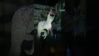 Dinos At The Juric World Exhibit Pop Up