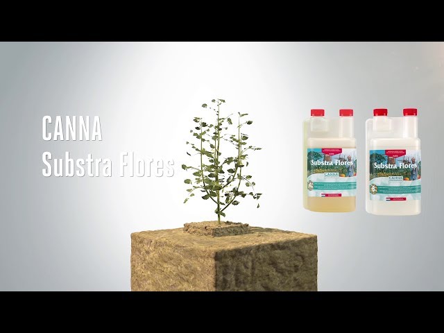 Watch CANNA Substra Flores on YouTube.