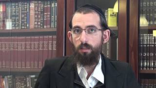 דודי לנצ'יצקי יזם בתכנית ההנחייה העסקית והאישית של אליהו ארנד
