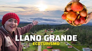 Increible Pueblo De 150 Habitantes En Oaxaca. Ecoturismo Llano Grande.