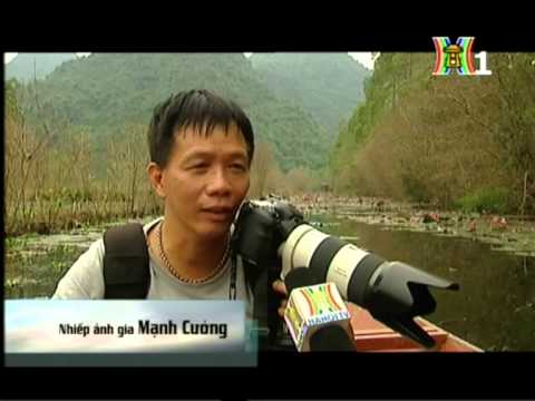 Lavender với Thời trang và Cuộc sống