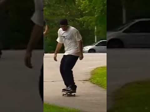 Young Ant