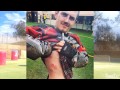 vlog