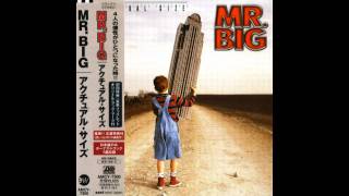 Watch Mr Big Mary Goes round video