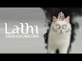 Cats Sings Lathi - Weird Genius Remix Cover