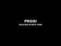 PROBI-walking in new york OFFICIAL VIDEO