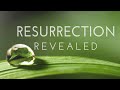 Resurrection On Abc Full Discussion Insomnia And Kathleen Munroe Interview ...