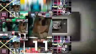 24 Shuric Scans With Are Slides