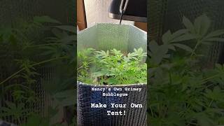 Home Made 1 X 2 Grow Tent Aerogarden Hydroponic Home Cannabis Grow & Living Soil - Diy Anywhere