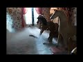 Watch Insidious 2 Online 720hd Full Movie For Free images Watch Insidious 2 Online 720hd Full Movie For Free