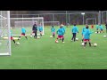 coerver