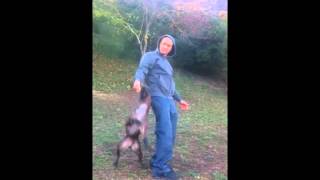 Oxmo, Apbt