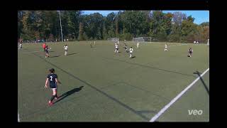 r6YaLthR220 Video Image
