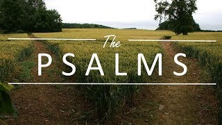 03 03 19 Pastor Ashley Payne Psalms 11