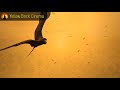 Relaxing Harp Music, Calming Music, Relaxation Music, Meditation Music, Instrumental Music, ☯3346