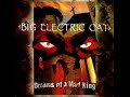 Big Electric Cat - Orchid Dreaming