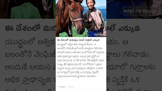 Horses More Than Humans In This Country