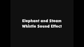 Elephant And Steam Whistle Sfx