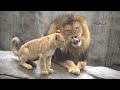 dad