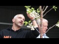 AKKC - Eros Ramazzotti planter træ i Aalborg