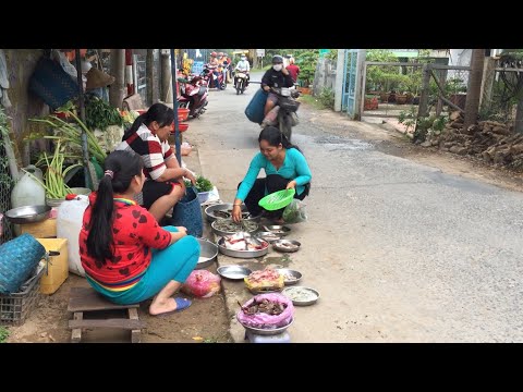Đi CHỢ QUÊ MIỀN TÂY MÙA NƯỚC NỔI | CHỢ CÁ CAI CHÂU LẤP VÒ ĐỒNG THÁP | TẬP 198
