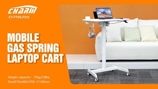 Ct-Ftvs-F316, Mobile Gas Spring Laptop Cart, Charmount