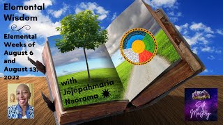 Elemental Wisdom for August 6 & 13, 2022 with Jojopah