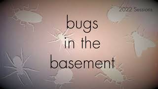Bugs In The Basement- Wyeomyia Smithii aka The Pitcherplant Mosquito