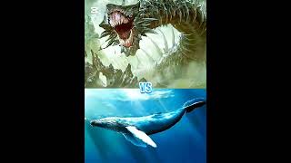 Megalodon Vs Mosasaurus,Worm,Blue Whale,Hippocampus