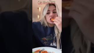 Funniest Cat Funny Cats Compilation 4212