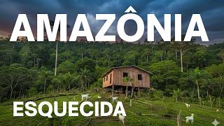Vida Na Amazônia, Um Brasil Desconhecido Os Desafios De Viver Isolado