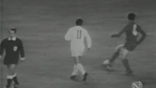 r8rjyDAhPQU Video Image