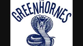 Watch Greenhornes Shelter Of Your Arms video