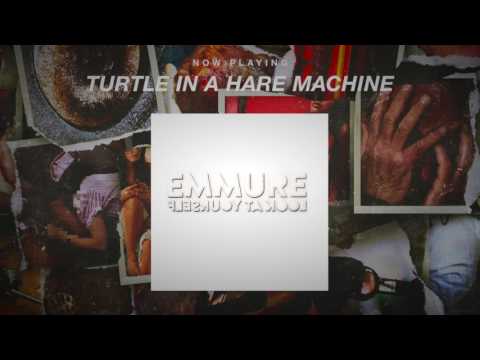 Turtle In A Hare Machine Video