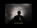 Neruda Video preview