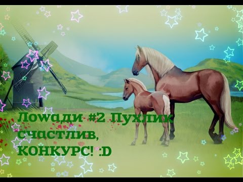 Конкурсы для ловади с Конкурсы для ловади с