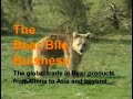 The Bear Bile Business