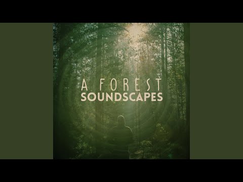 Explore the World