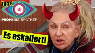 Desiree Nick Eskaliert Promi Big Brother 2025 Tag 8