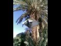 BMW+crossing+Morocco+2009