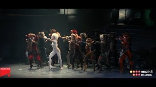 CATS - KOČKY - Premiéra v Národním divadle moravskoslezském