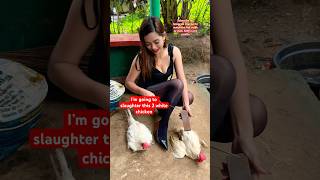 Chicken Are Ready