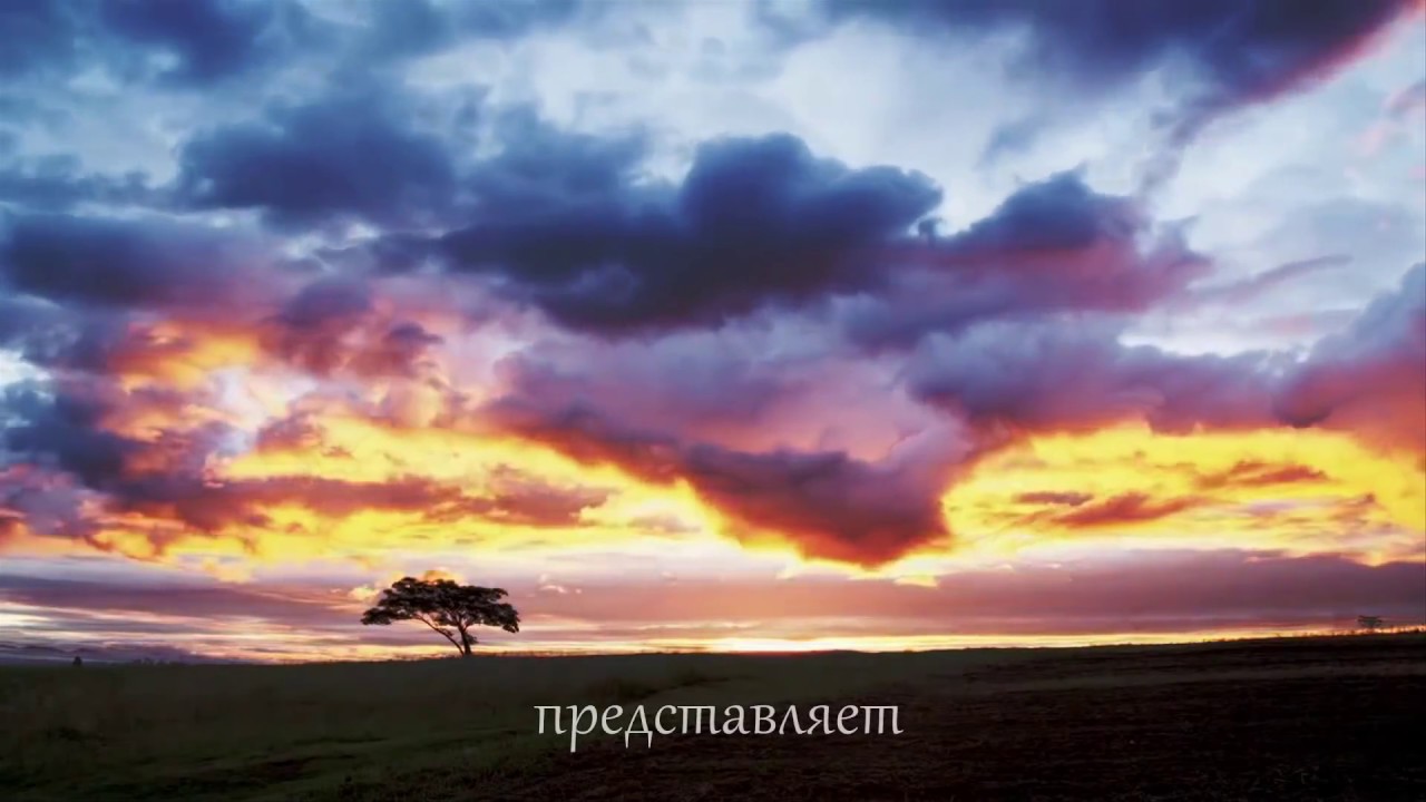 Поздравление в стихах коллеге о выходе на пенсию